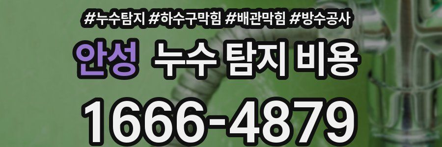 안성 누수 탐지 비용