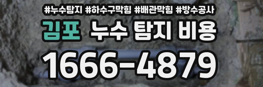 김포 누수 탐지 비용