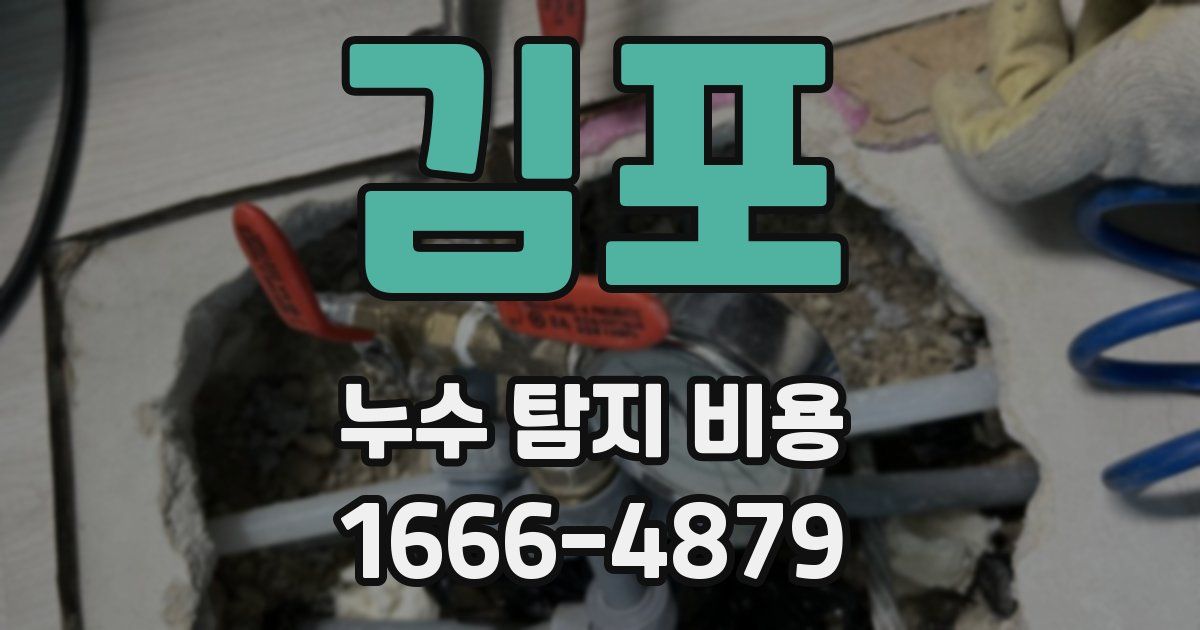 김포 누수 탐지 비용
