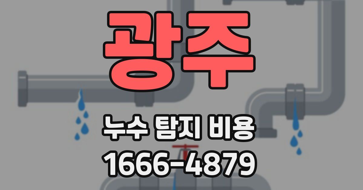 광주 누수 탐지 비용