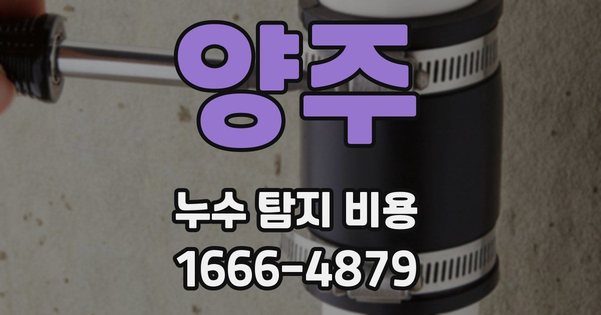 양주 누수 탐지 비용