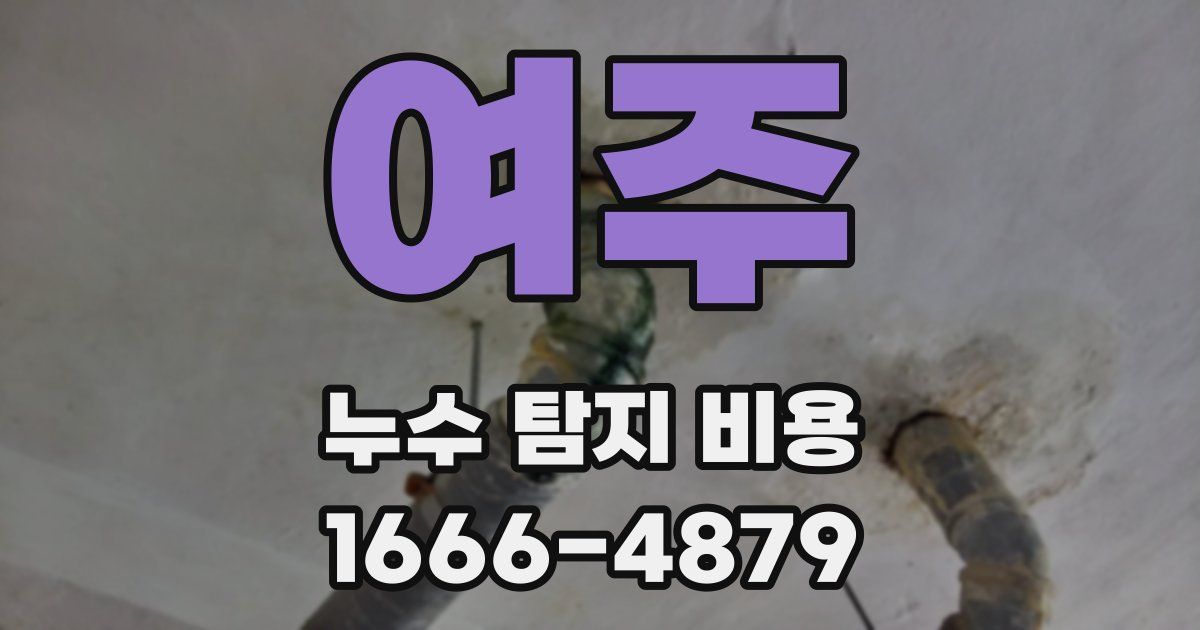 여주 누수 탐지 비용
