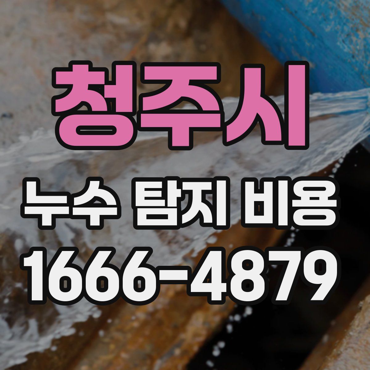 청주시 누수 탐지 비용