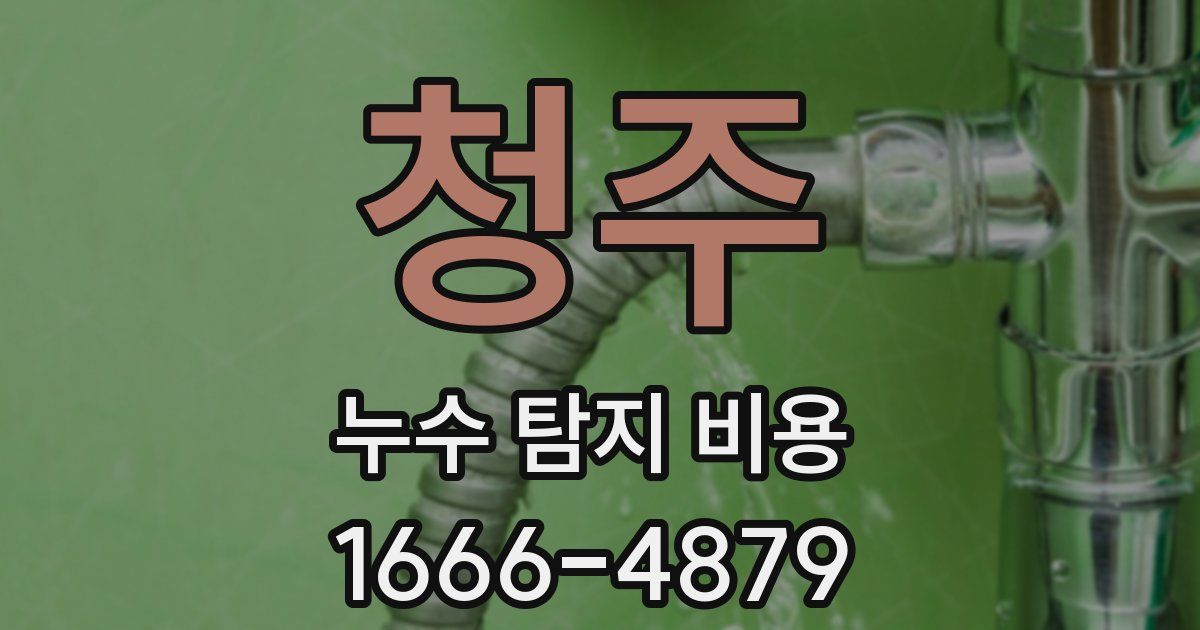 청주 누수 탐지 비용