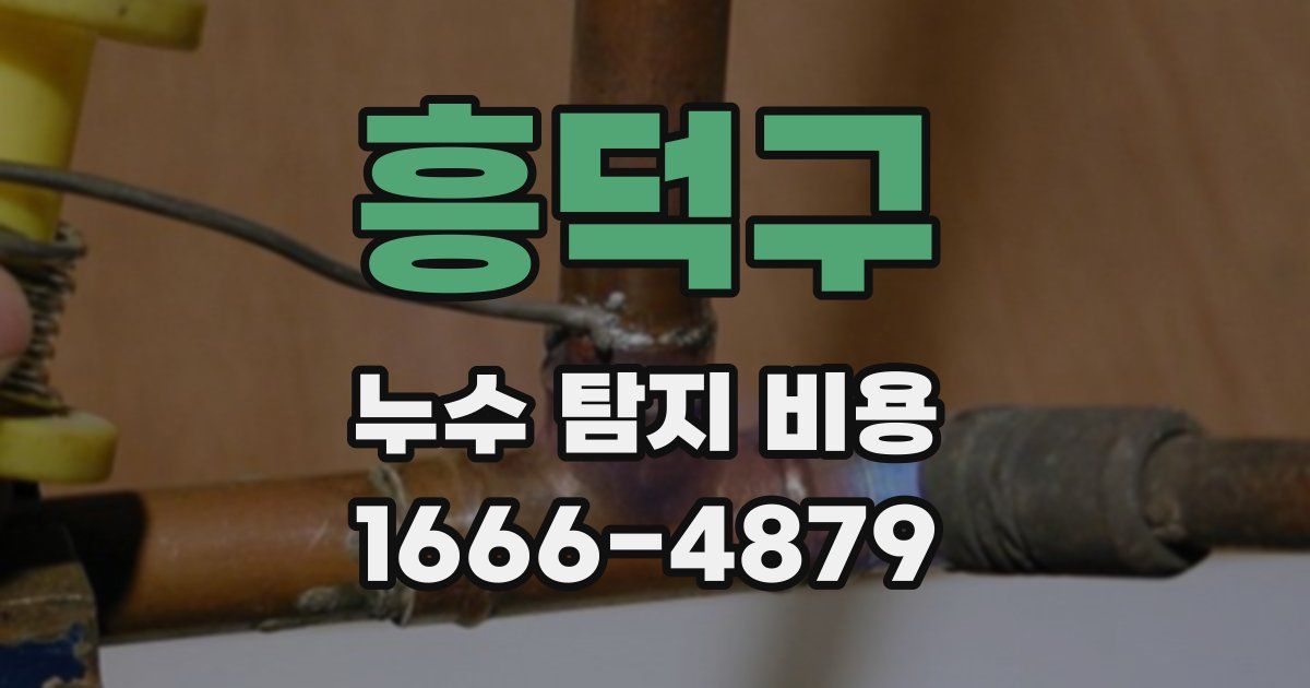 흥덕구 누수 탐지 비용
