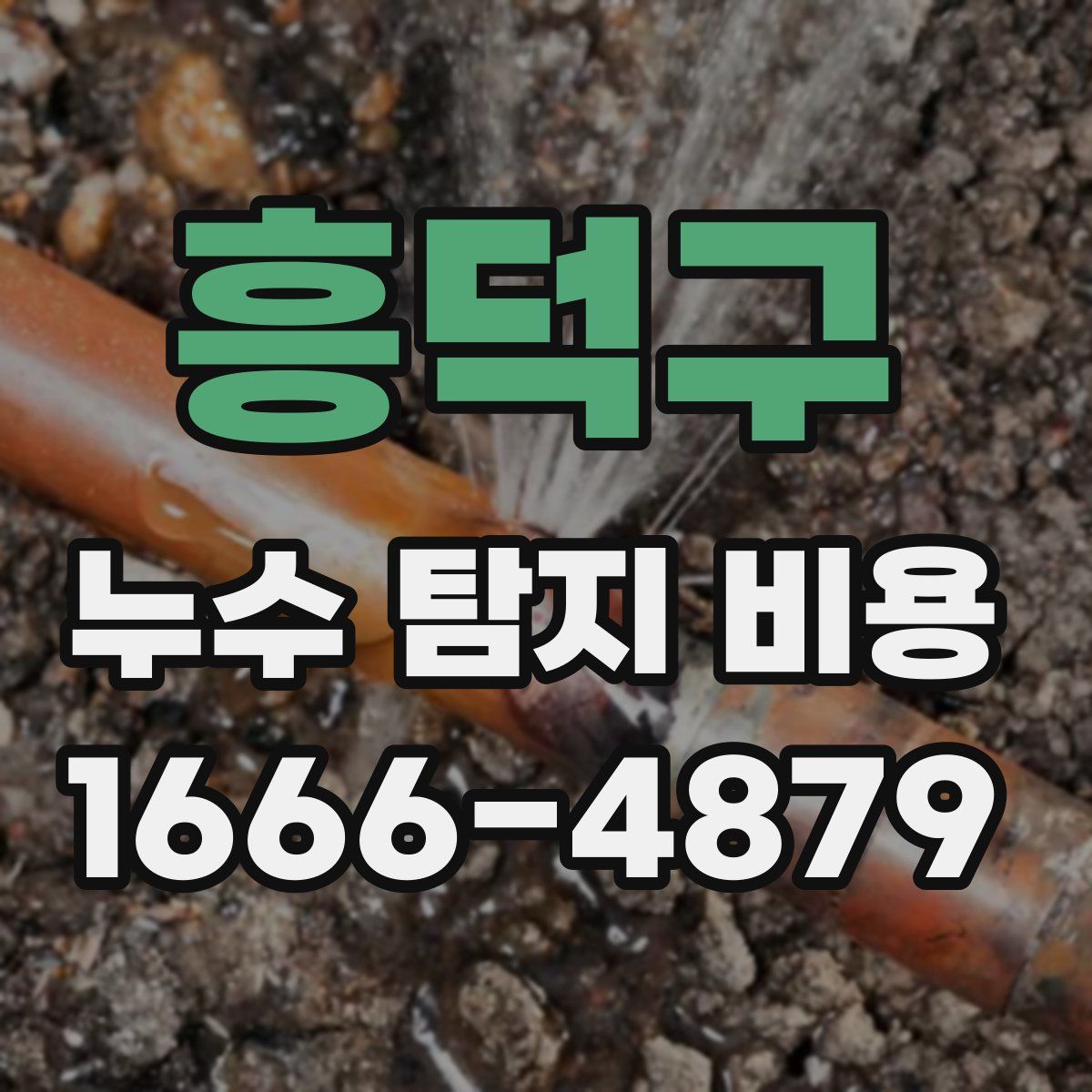 흥덕구 누수 탐지 비용