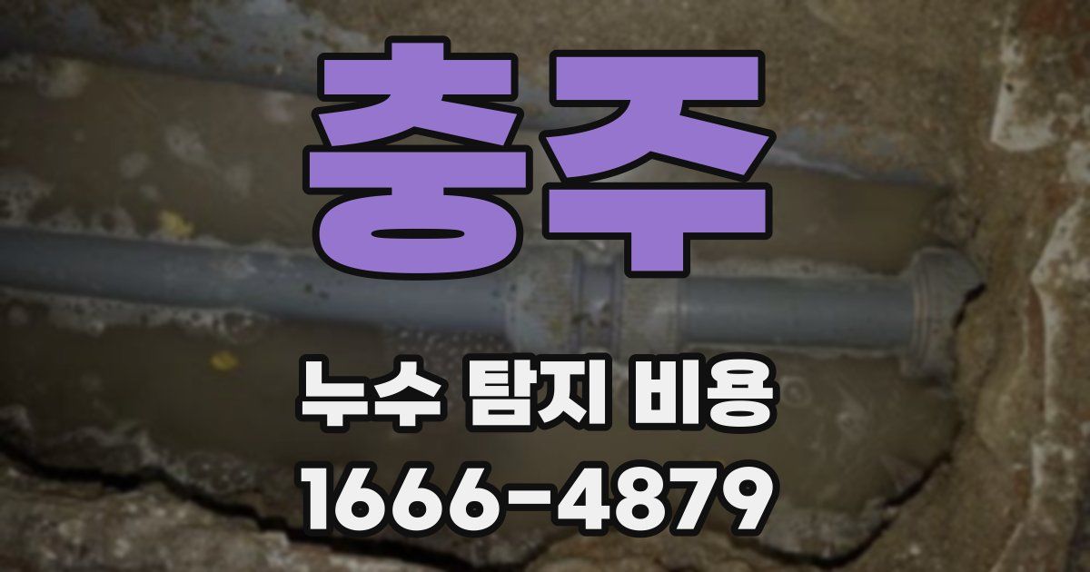충주 누수 탐지 비용