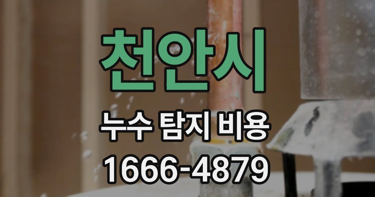 천안시 누수 탐지 비용