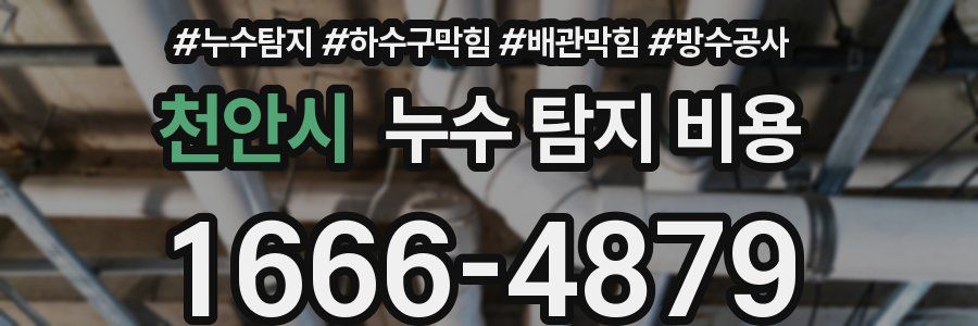 천안시 누수 탐지 비용
