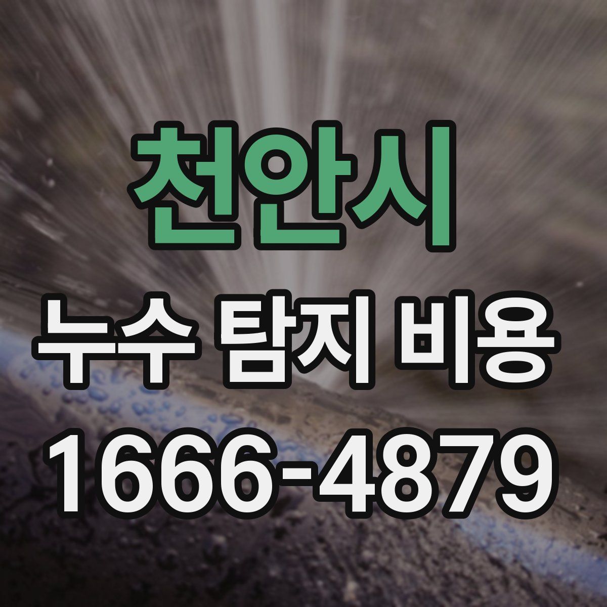 천안시 누수 탐지 비용