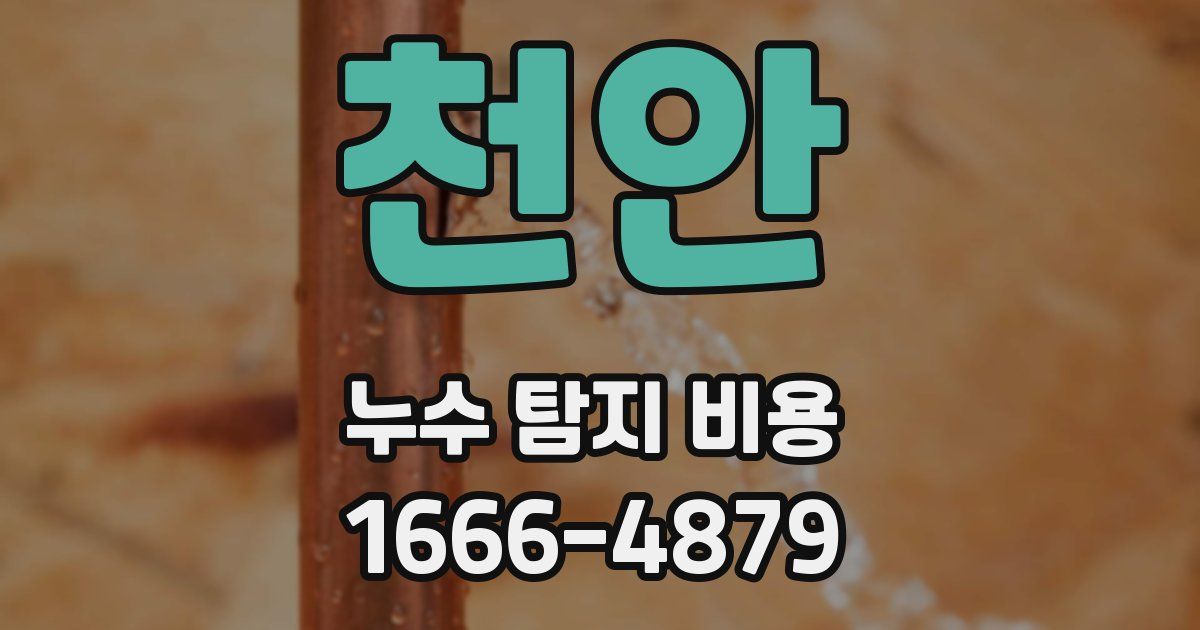 천안 누수 탐지 비용