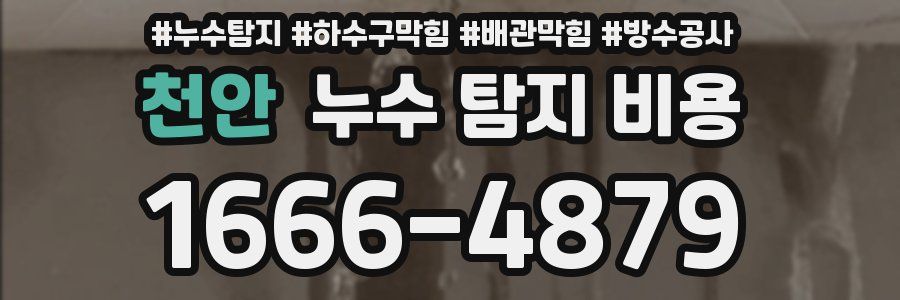 천안 누수 탐지 비용