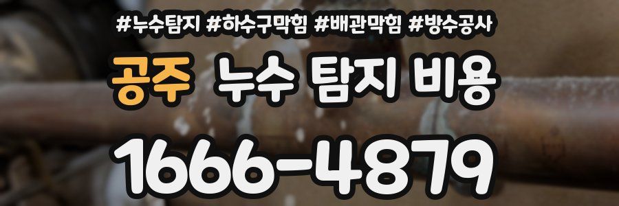 공주 누수 탐지 비용