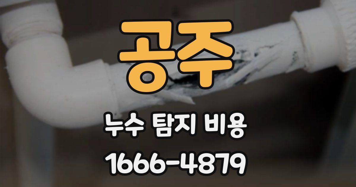 공주 누수 탐지 비용