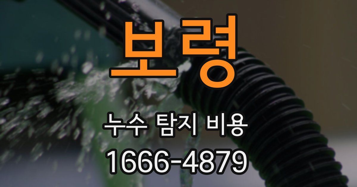 보령 누수 탐지 비용