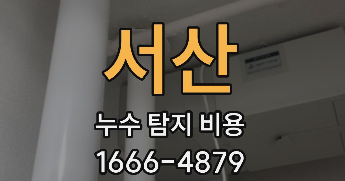 서산 누수 탐지 비용