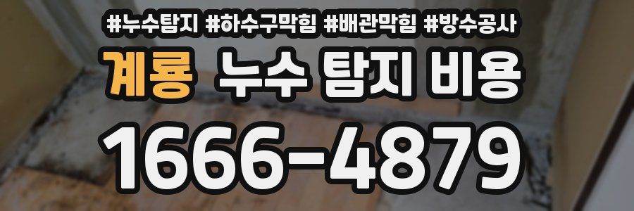 계룡 누수 탐지 비용