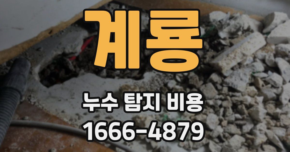 계룡 누수 탐지 비용