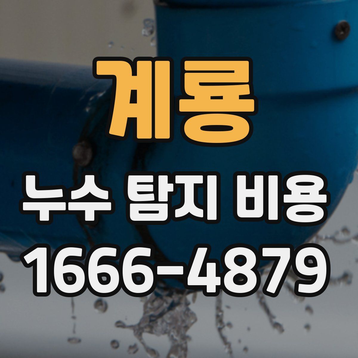 계룡 누수 탐지 비용