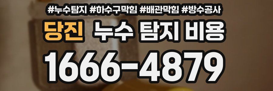 당진 누수 탐지 비용