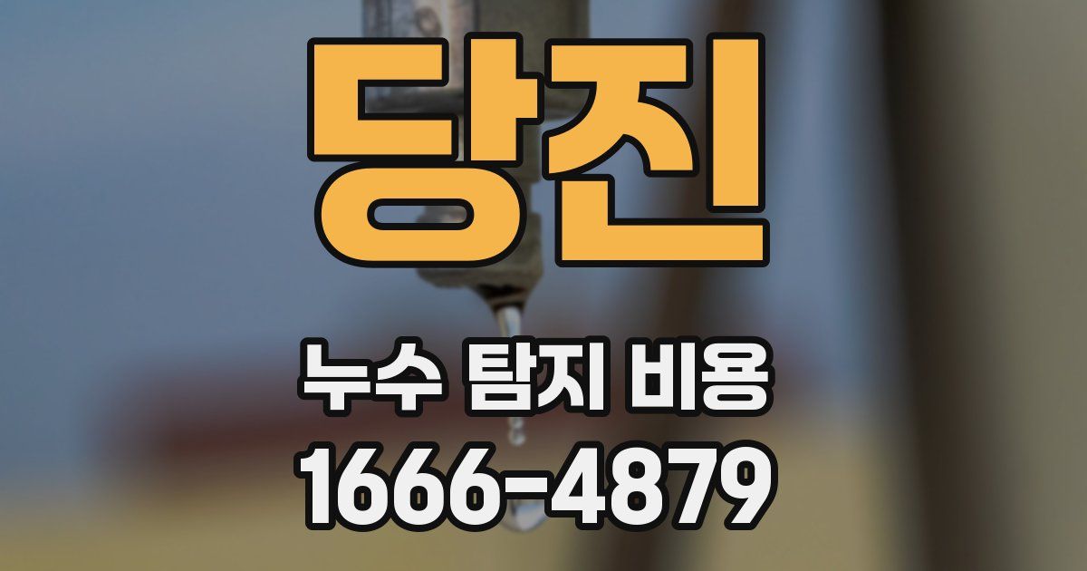 당진 누수 탐지 비용