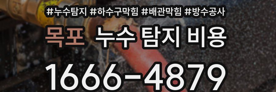 목포 누수 탐지 비용