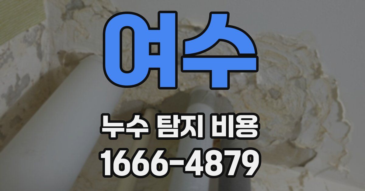 여수 누수 탐지 비용