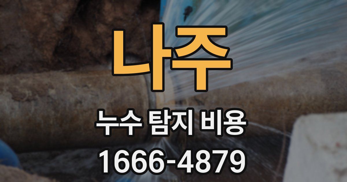 나주 누수 탐지 비용