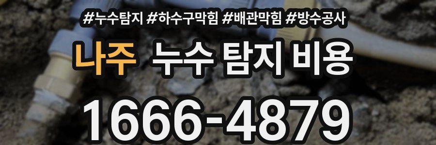 나주 누수 탐지 비용