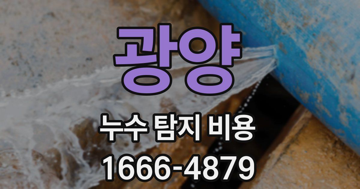 광양 누수 탐지 비용