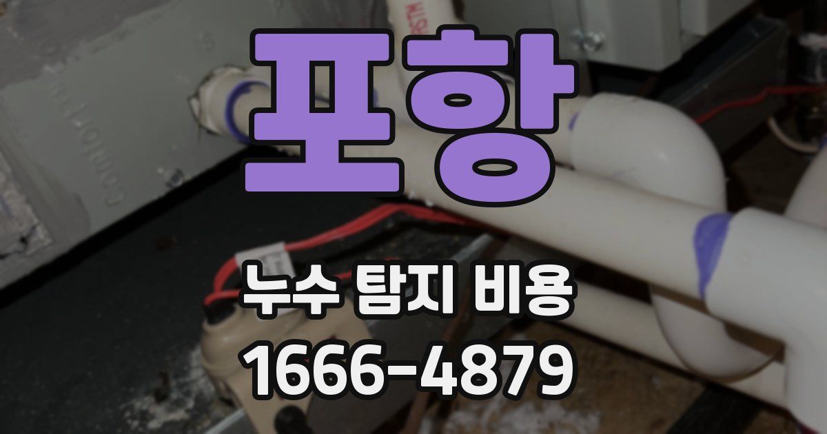 포항 누수 탐지 비용