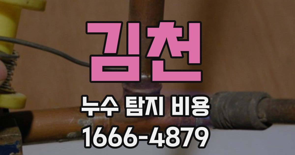 김천 누수 탐지 비용