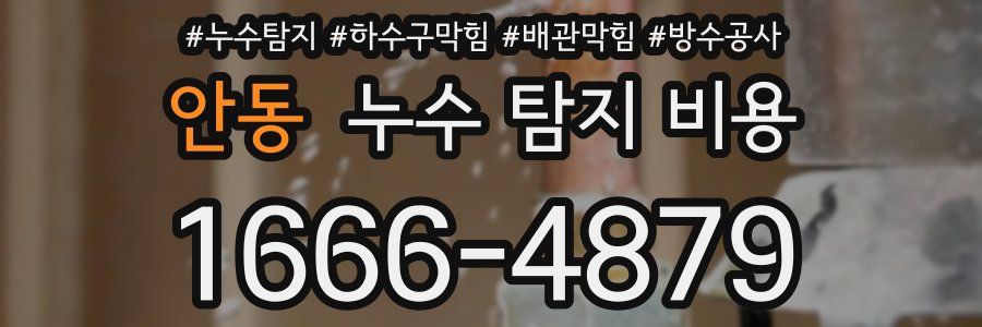 안동 누수 탐지 비용