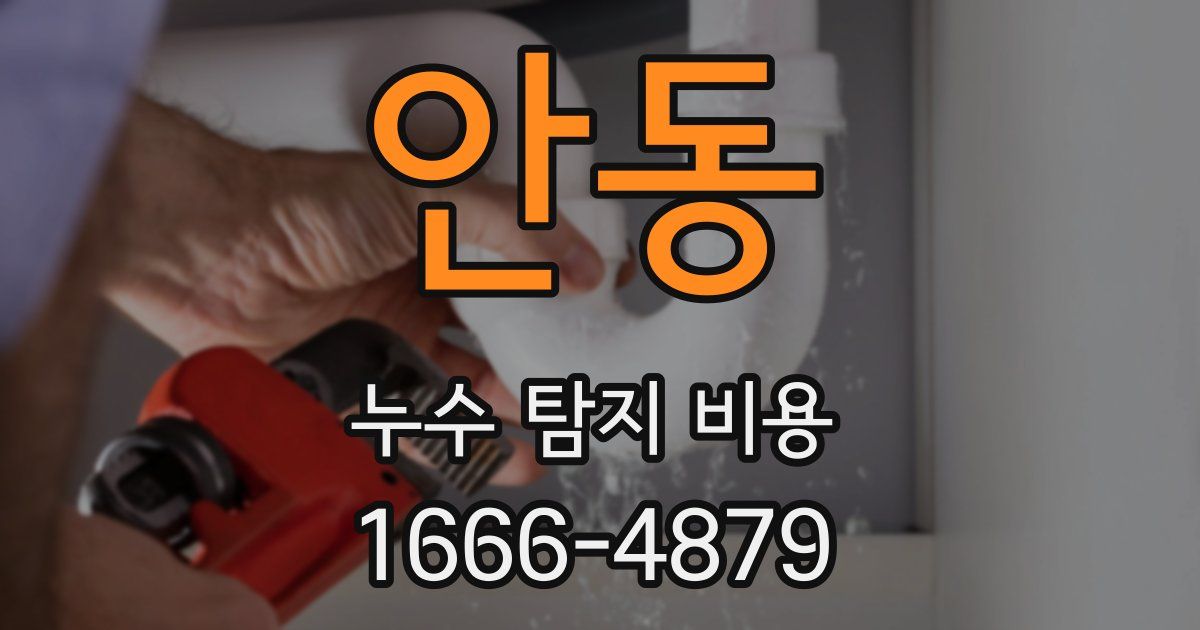 안동 누수 탐지 비용