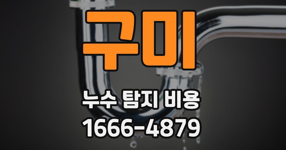 구미 누수 탐지 비용