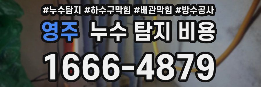 영주 누수 탐지 비용