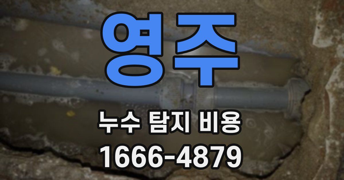 영주 누수 탐지 비용