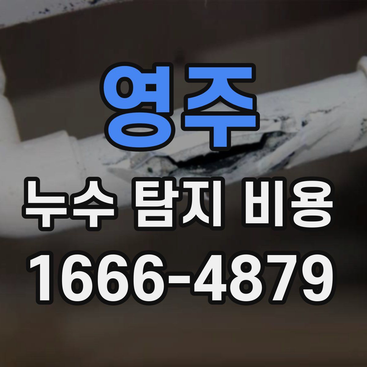 영주 누수 탐지 비용
