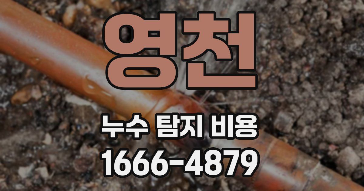 영천 누수 탐지 비용