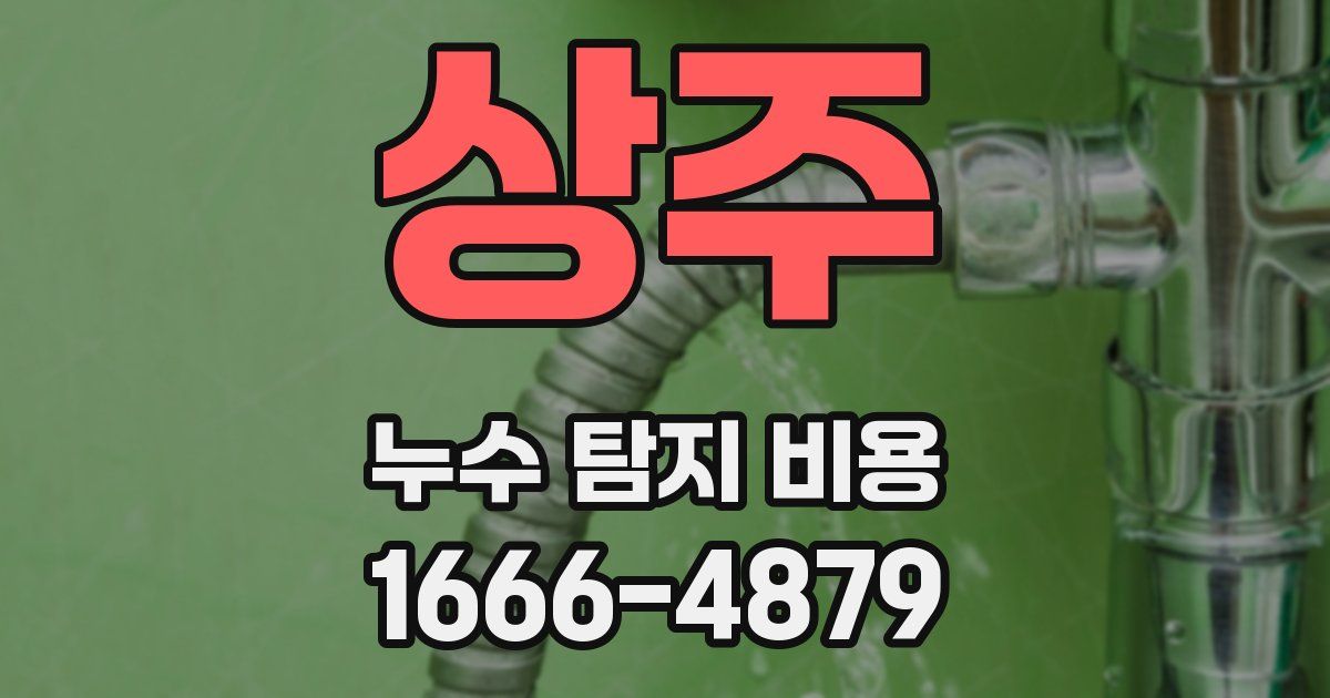 상주 누수 탐지 비용