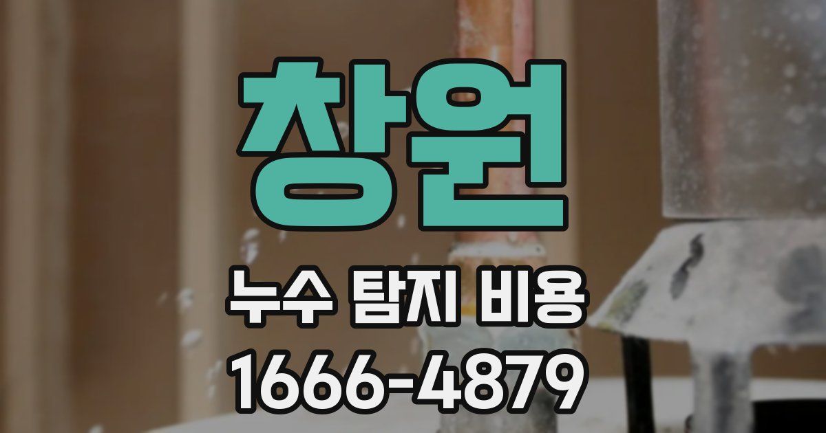 창원 누수 탐지 비용