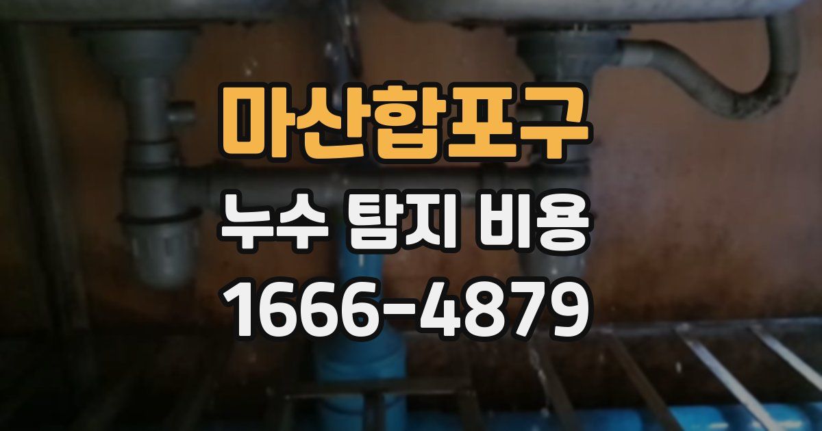 마산합포구 누수 탐지 비용