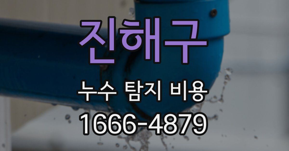 진해구 누수 탐지 비용