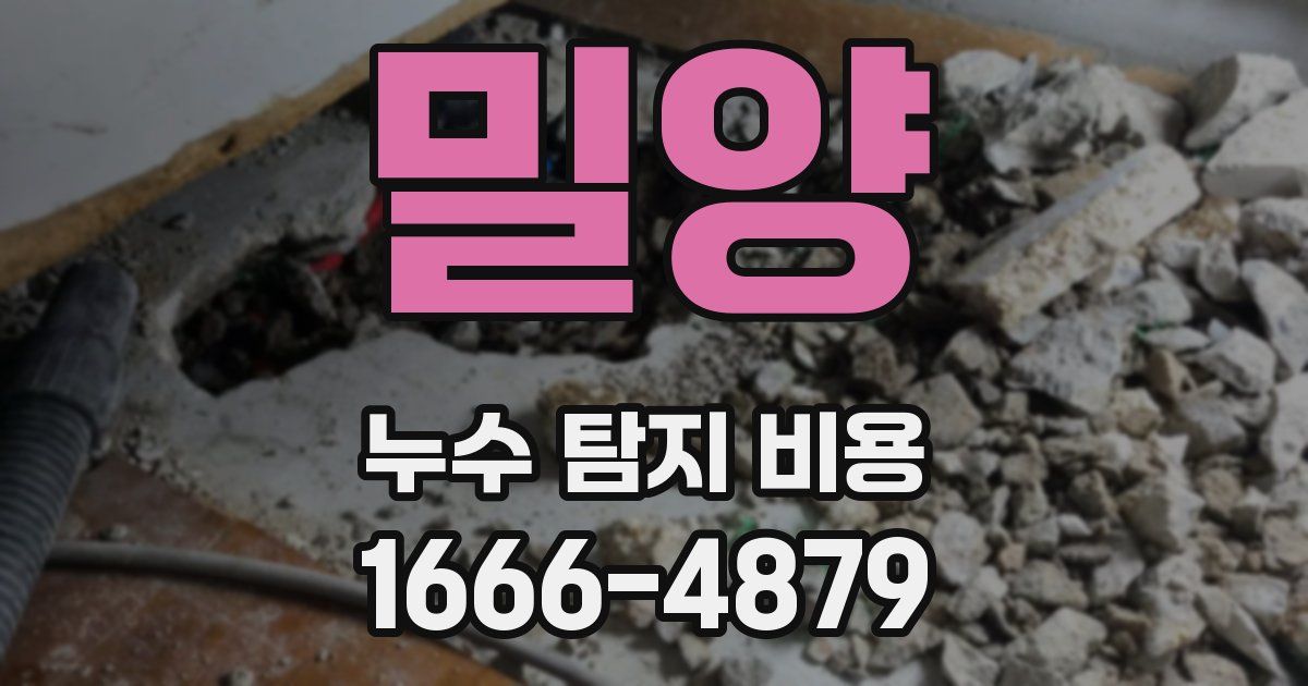 밀양 누수 탐지 비용