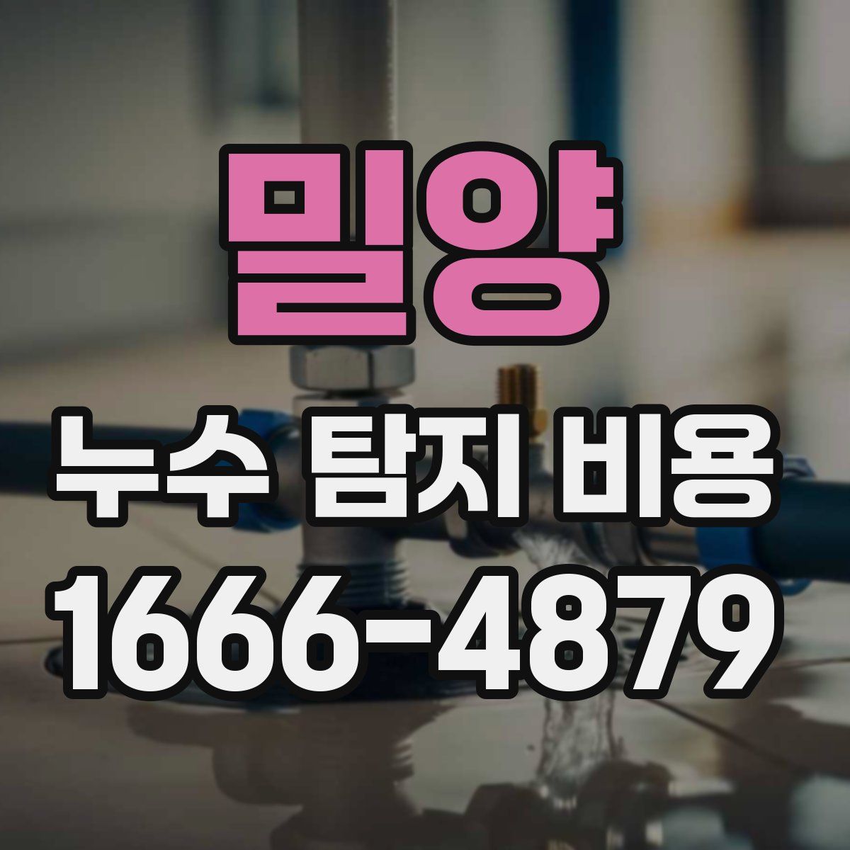 밀양 누수 탐지 비용