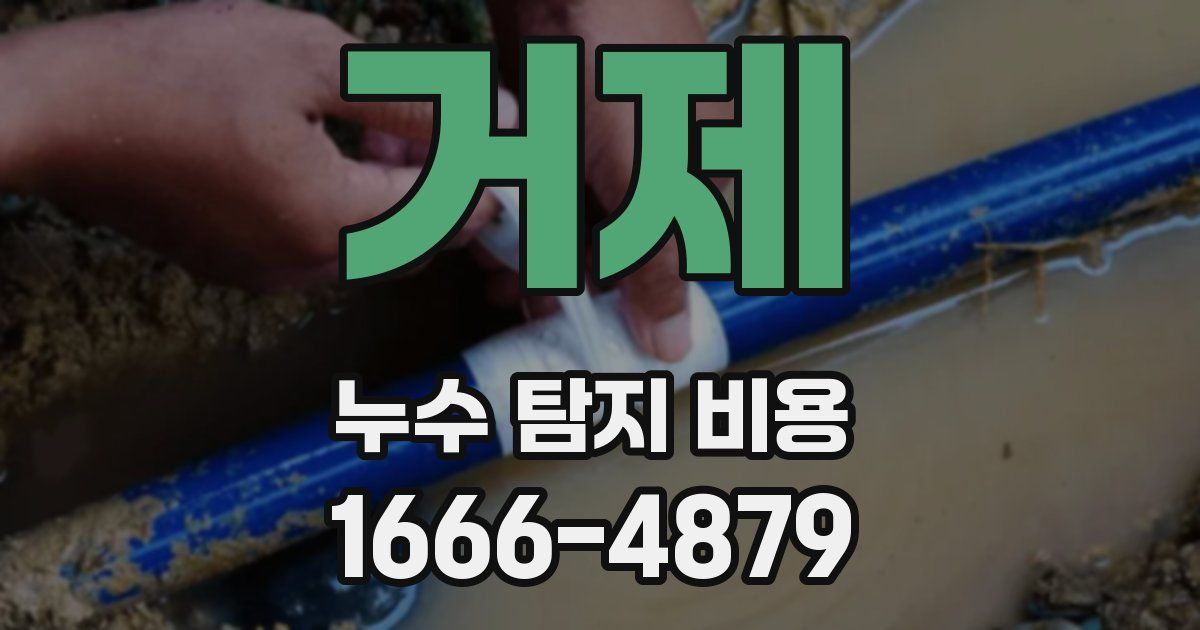 거제 누수 탐지 비용