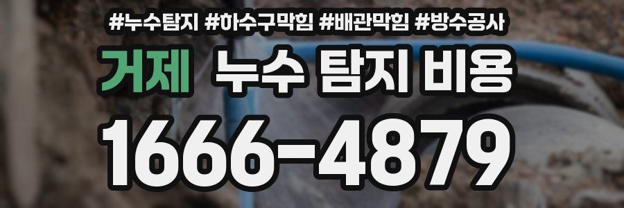 거제 누수 탐지 비용