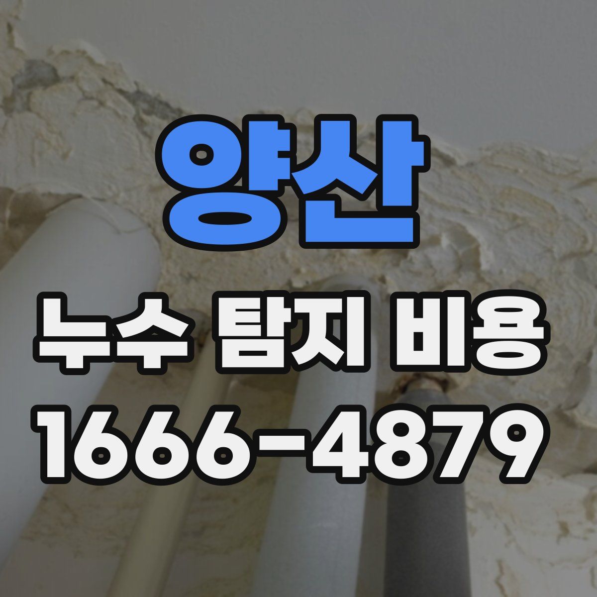 양산 누수 탐지 비용