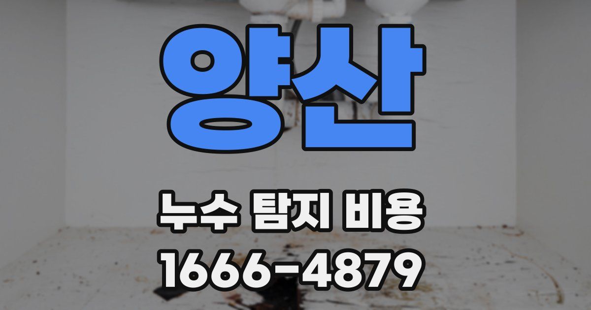 양산 누수 탐지 비용