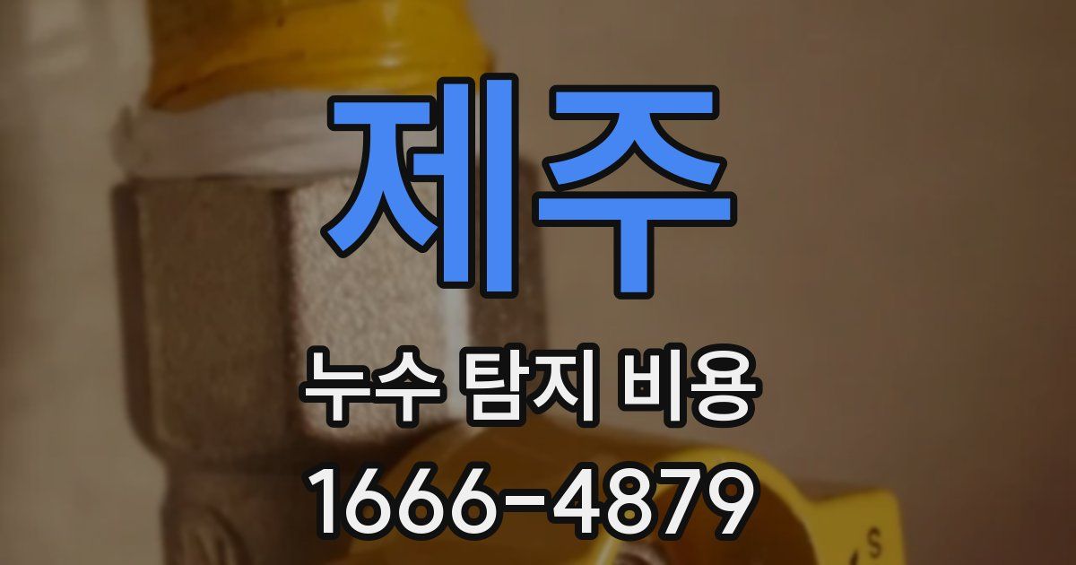 제주 누수 탐지 비용